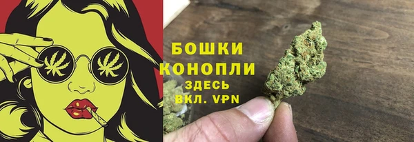2c-b Богданович