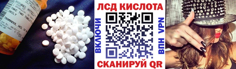Купить закладки  Строитель  ЛСД экстази кислота 