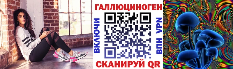 Купить закладки  Строитель  Псилоцибиновые грибы мухоморы 